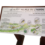 Pupitres rouille naturelle